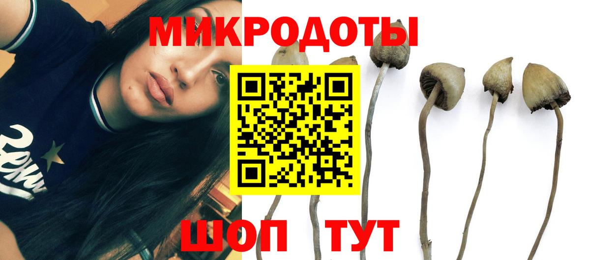 Псилоцибиновые грибы мицелий  Псилоцибиновые грибы Magic Shrooms  Вход с VPN  Ангарск 
